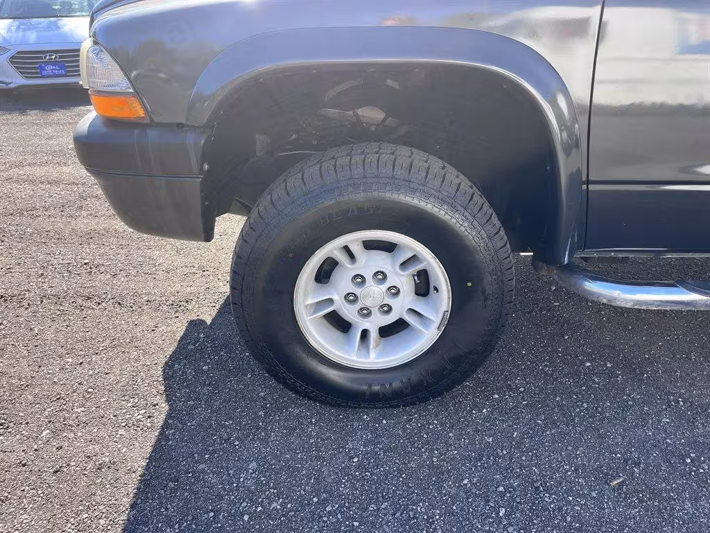 2002 Dodge Dakota - 1B7HG38N92S510158 - Image #28