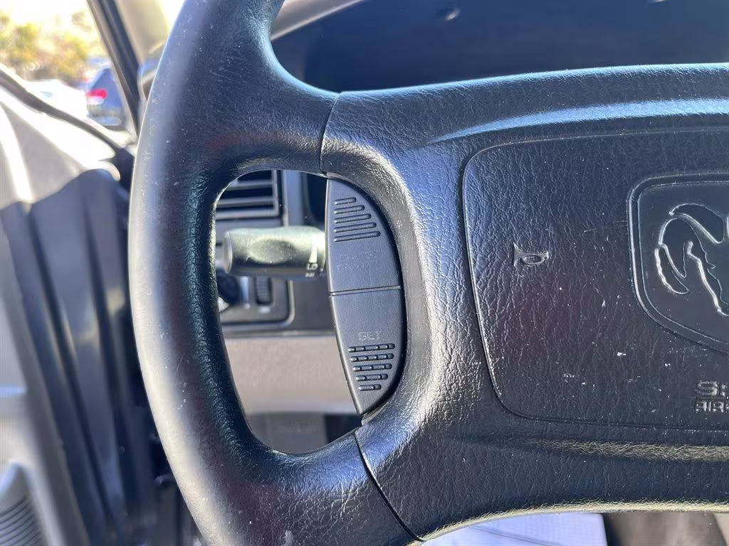2002 Dodge Dakota - 1B7HG38N92S510158 - Image #8