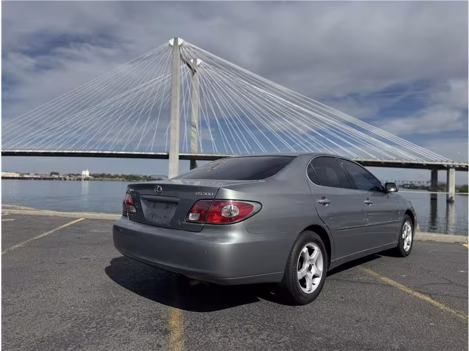 2002 Lexus ES 300 - JTHBF30G420071418 - Image #1