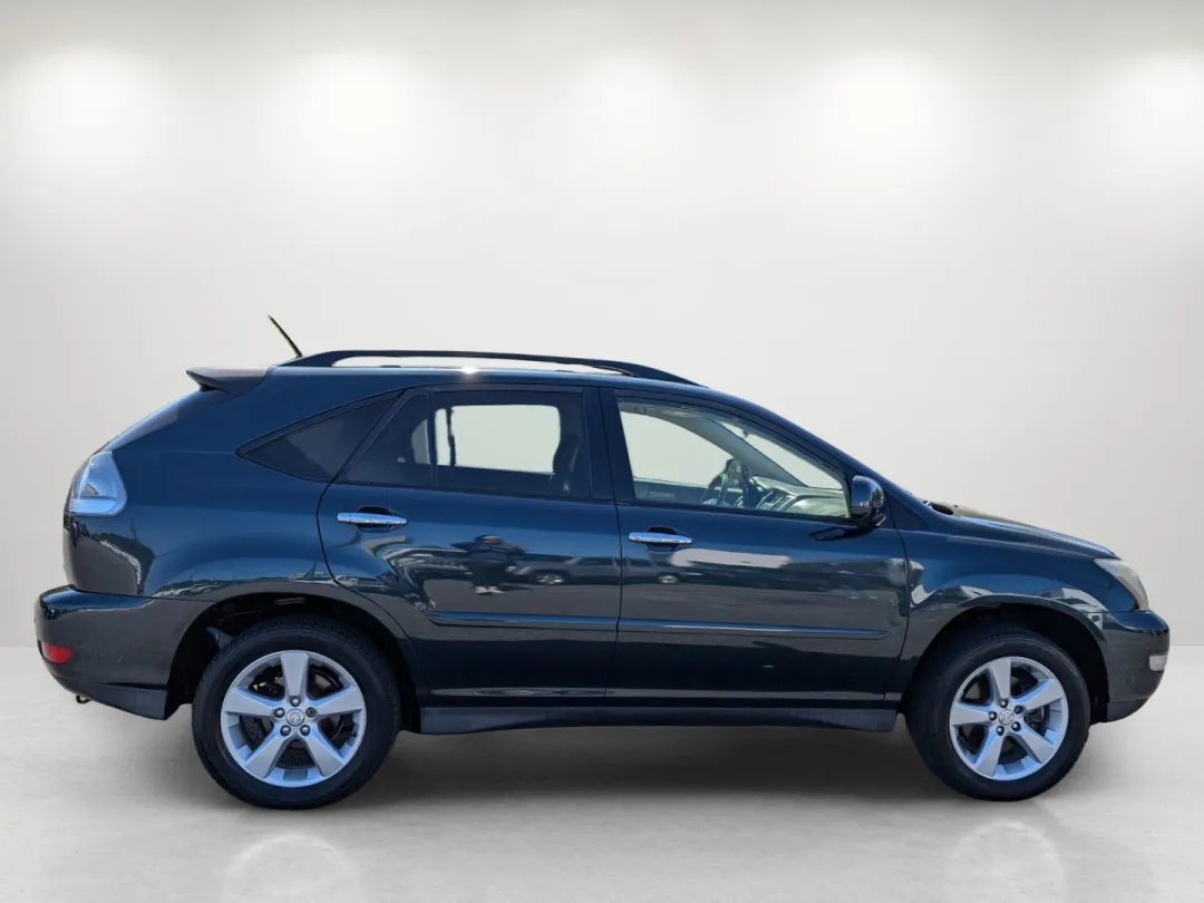 2004 Lexus RX 330 - JTJGA31U940006946 - Image #5