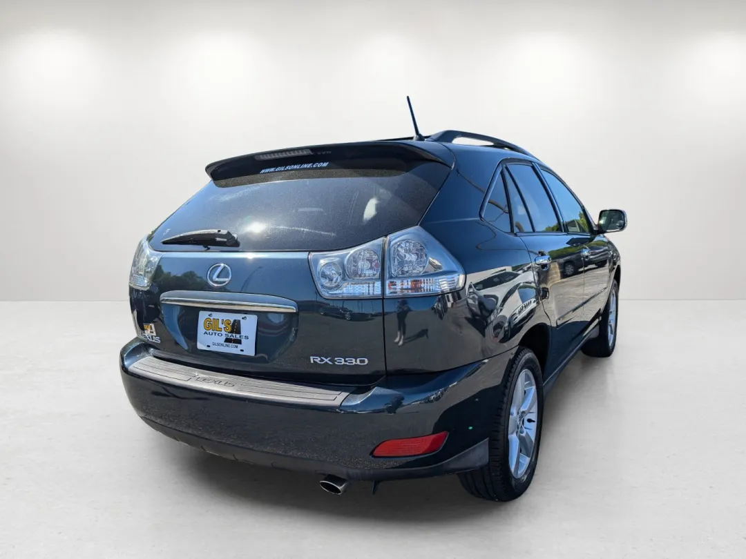 2004 Lexus RX 330 - JTJGA31U940006946 - Image #6