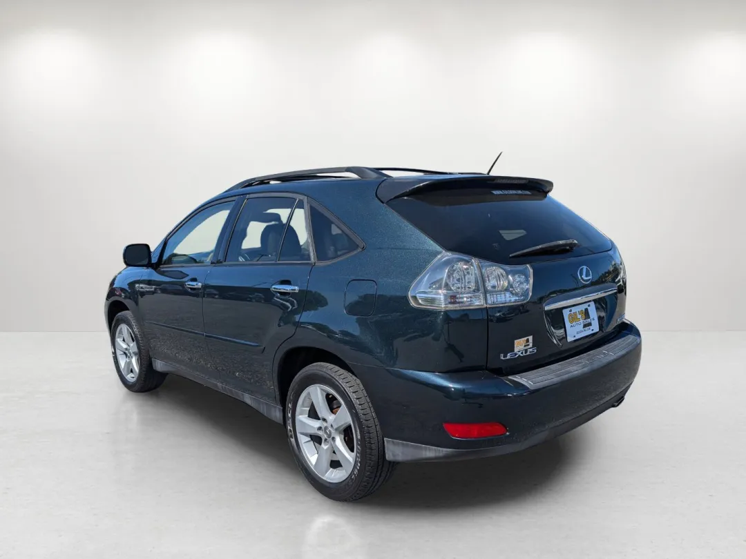 2004 Lexus RX 330 - JTJGA31U940006946 - Image #8