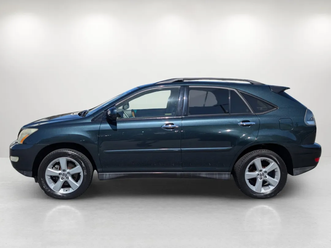 2004 Lexus RX 330 - JTJGA31U940006946 - Image #9