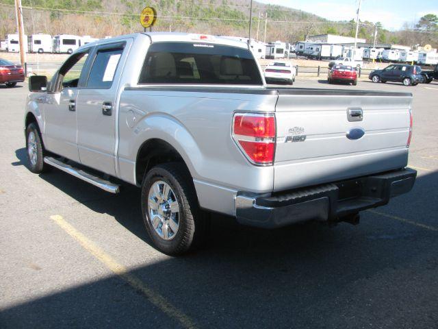 2010 Ford F-150 - 1FTEW1C82AFC84371 - Image #3