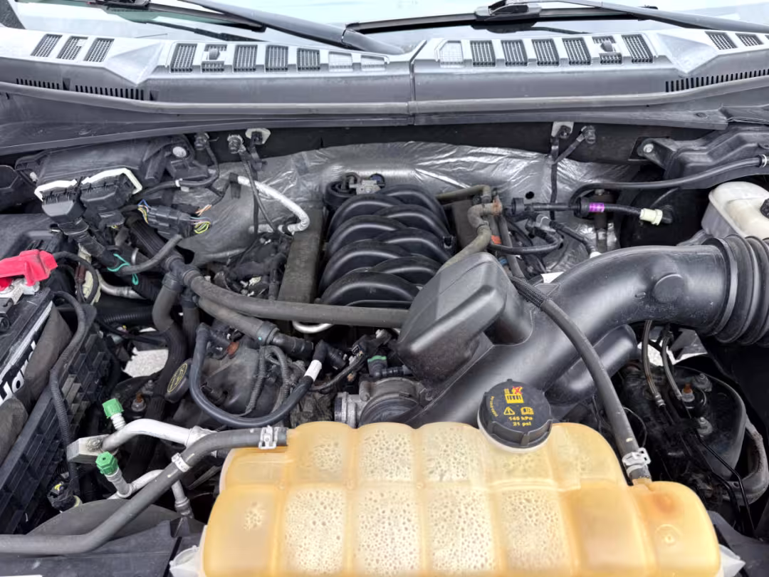 2017 Ford F-150 - 1FTEW1EF4HFA75574 - Image #16