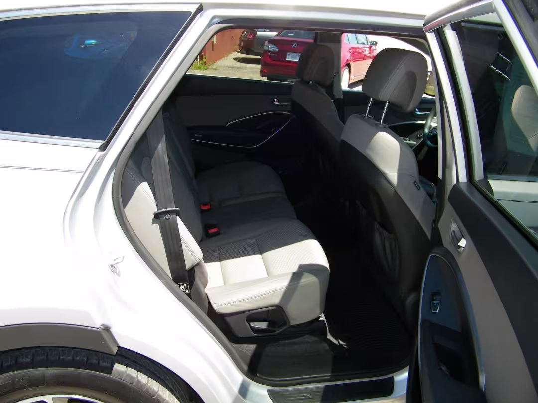 2019 Hyundai Santa Fe XL - KM8SM4HF2KU302801 - Image #11